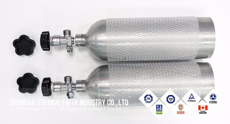 Large Production Small Co2 Cylinder For Aquarium