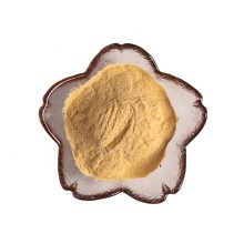 Factory suppily high quality corn extract corn peptide powder