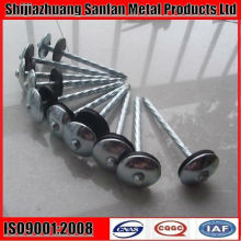 Common round Nail wire iron nail