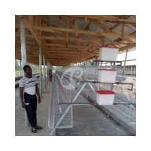 Egg Laying Hen Battery Cages for Poultry Farms in Africa