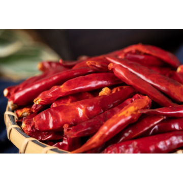 Best Price High Quality Red Chaotian Chili