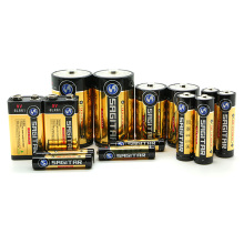 Primary Dry Batteries