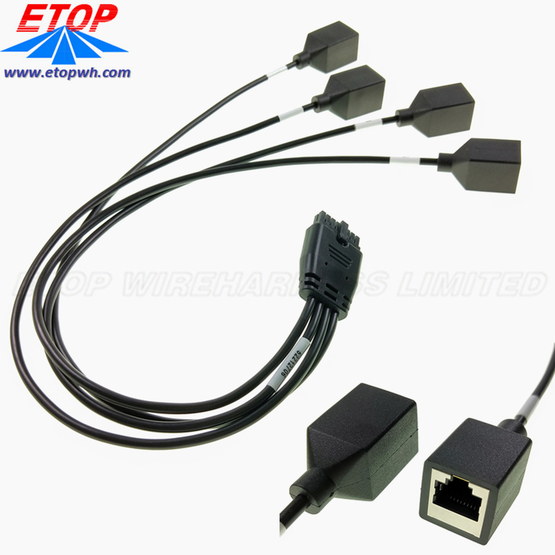 موصلات ذات ملاءمة صغيرة من طاقة Micro-To to 4in RJ45 JACK