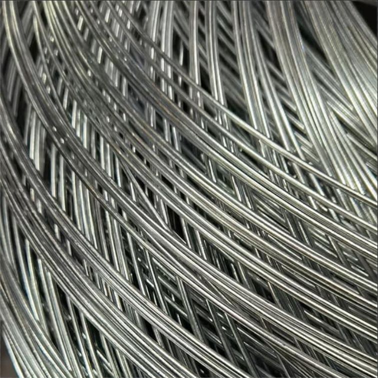 Electro/Hot dipped Galvanized Iron Wire BWG16