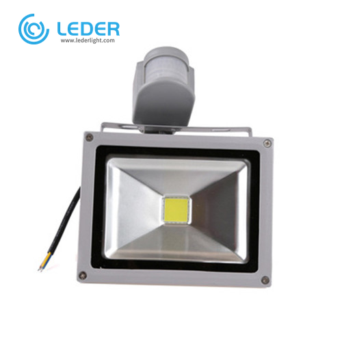 LEDER 30W Solar Led Flood Light