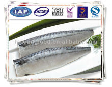 Norway Mackerel Fillet