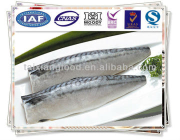 Norway Mackerel Fillet