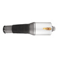 Air Spring per Audi A8 S8 D3