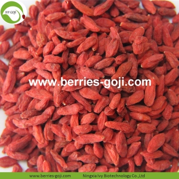 Lose Weight Nutrition Natural Organic Dried Goji Berry