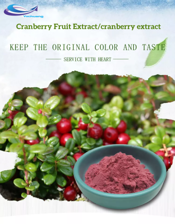 Cranberry Powder Cranberry Extract 25% Proanthocyanidin