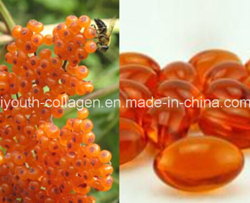 GMP, 100% Natural Organic Wild Sea Buckthorn Fruit Oil and Soft Capsule, Health Food, Anti-Cancer, Kill Cancer Cells