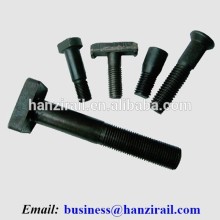 T Head Bolt/Clip Bolt/Rail Bolt