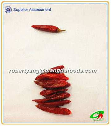 Small Red Chilli-Tianying Chilli