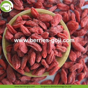 Factory Supply Fruits Nutrition Herbal Type Goji Berry