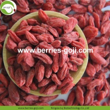 Factory Supply Fruit Nutrition Herbal Type Goji Berry