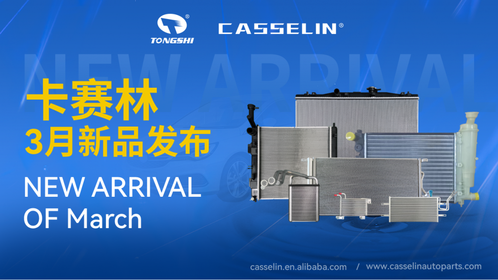 Casselin Auto Parts New Arrival Of 24 03