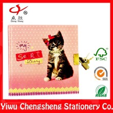 cute design diary book with lock and key