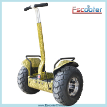 Personal Electric Scooter off Road Model Es Oi