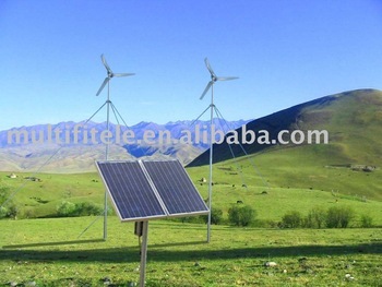 Solar Wind Power System 500W
