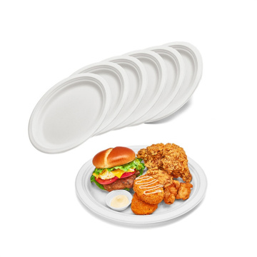 Biodegradable Dinner Plate Sugarcane Bagasse Paper Plates