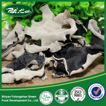 White Back Black Fungus