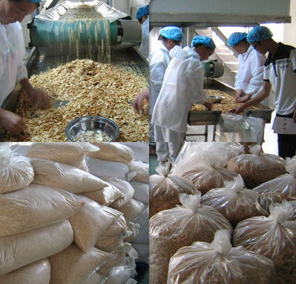 Chinese Agricultural Product Dried Garlic Slices Packing