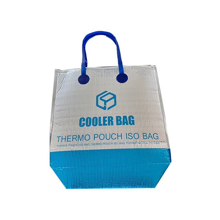 Print Thermal Cooler Bag For Picnic