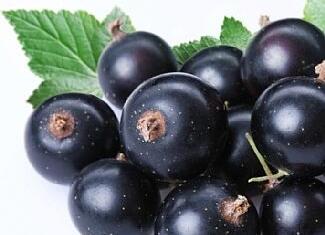 Acai Berry Extract