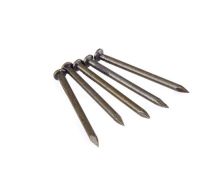 Concrete Nails With Washer