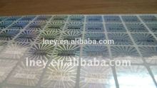Light small hologram label