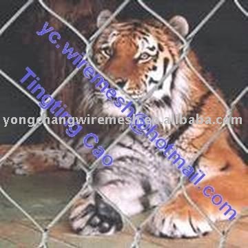 Tiger Cages & Enclosure