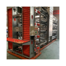 China Recycled Plastic H-Type Automatic Intelligent Broiler Chicken Cages