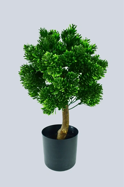 PE Podocarpus Bonsai Artificial Plant with Pot for Home Decoration (51033)