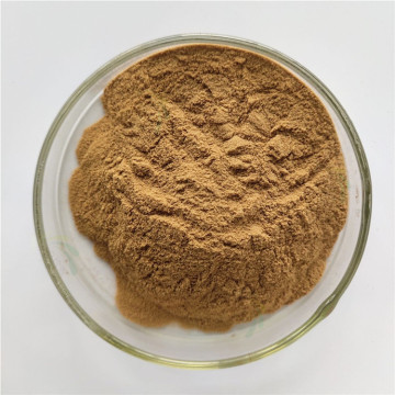Extracto de raíz de regaliz en polvo a granel glucyrrhiza glabra