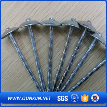 china all type of concrete bright common nails