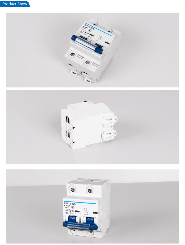 SAIP/SAIPWELL China Manufacturer 100A 2 Poles IP65 Waterproof Electrical DC MCB