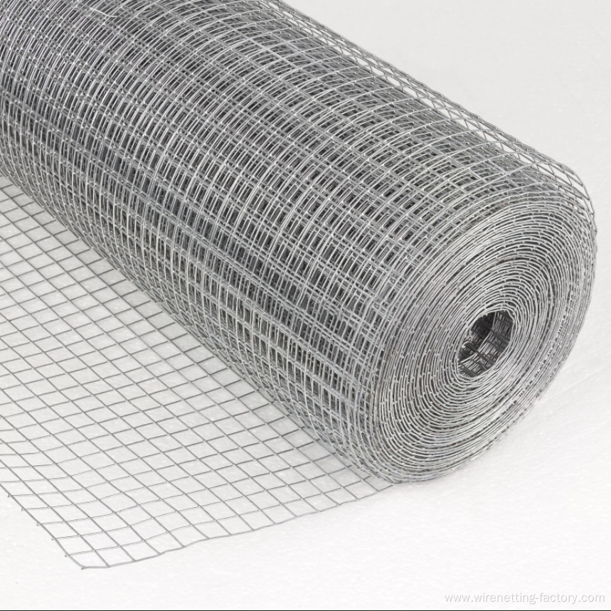 Hot sale Electro galvanzied welded wire mesh