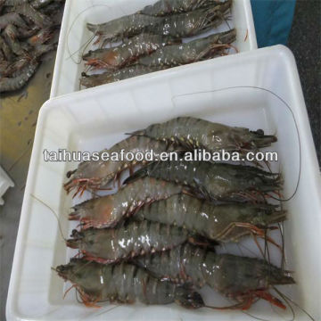 seafood and garlic prawns