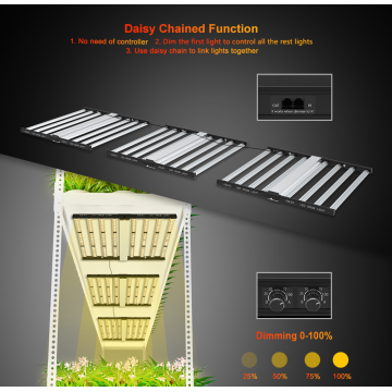 Vegetales de espectro completo Cultivo LED Grow Light 1000W