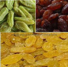 Dried Raisins