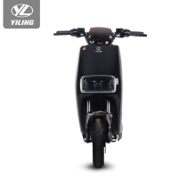 Moped Cheap Electric Motorcycle Manufacturer