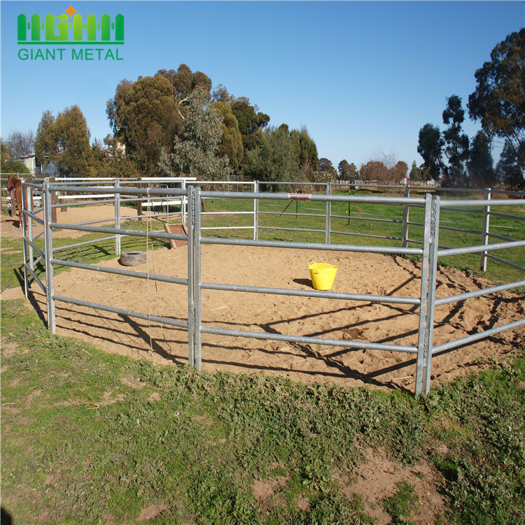 Animal Farming Cattle Horses Livestock Fence Metal Panels