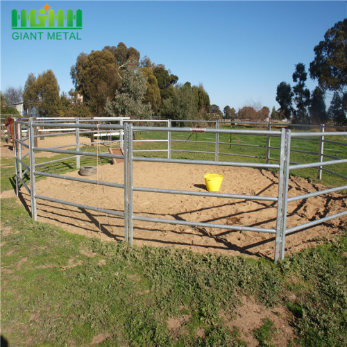 No Climb Horse Corrosion Resistant fence