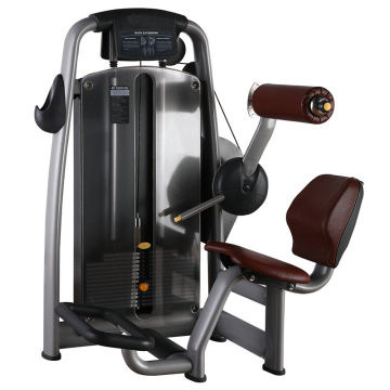 Popular Gym Fitness Equipment Back Extension