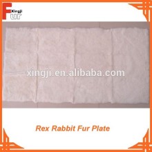 For garment Rex Rabbit Fur Plate