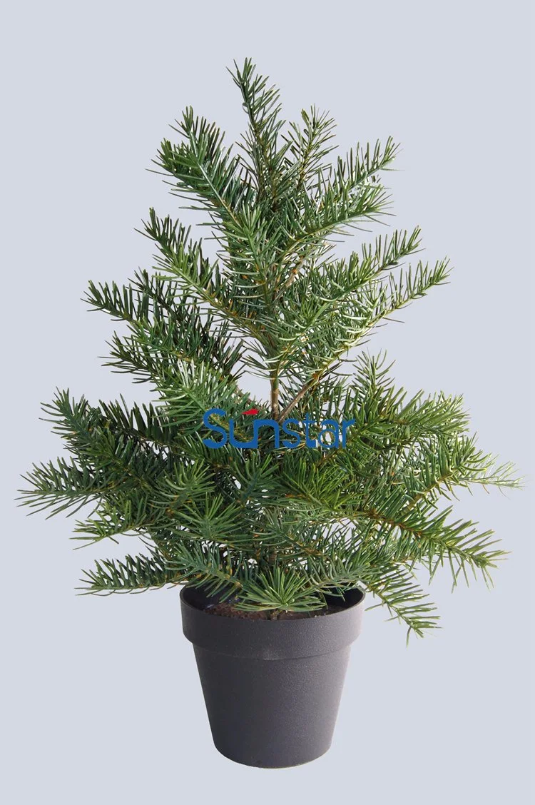 Christmas Artificial Tree Plant 45cm Nordmann Fir Tree Potted for Christmas Holiday Decoration (48555)