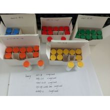 Heißer Verkauf Bpc-157 für Körper Biuld mit GMP Lab (2 mg / Fläschchen)