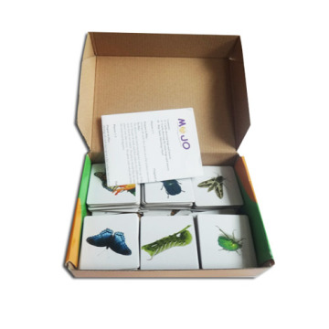 Printing Memo Match Cards Game For Kids