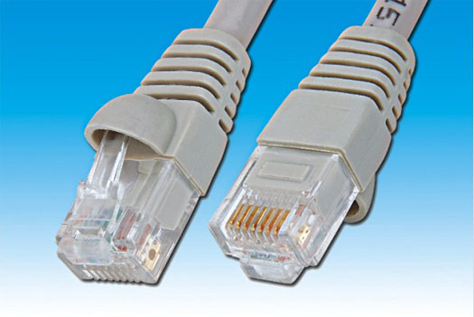 1 FT Cat5e Patch Cable