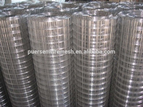 Hot sale 2x2 galvanized welded wire mesh for fence panel